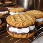 peanut butter s'mores sandwich cookies recipe